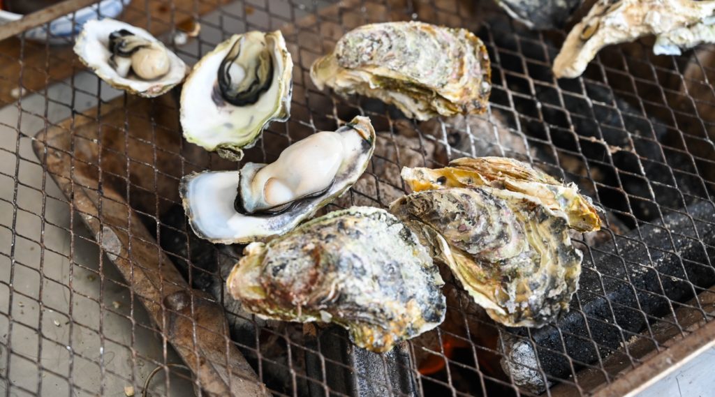 roasted oysters from the Cape Henry Rotary Oyster Crush