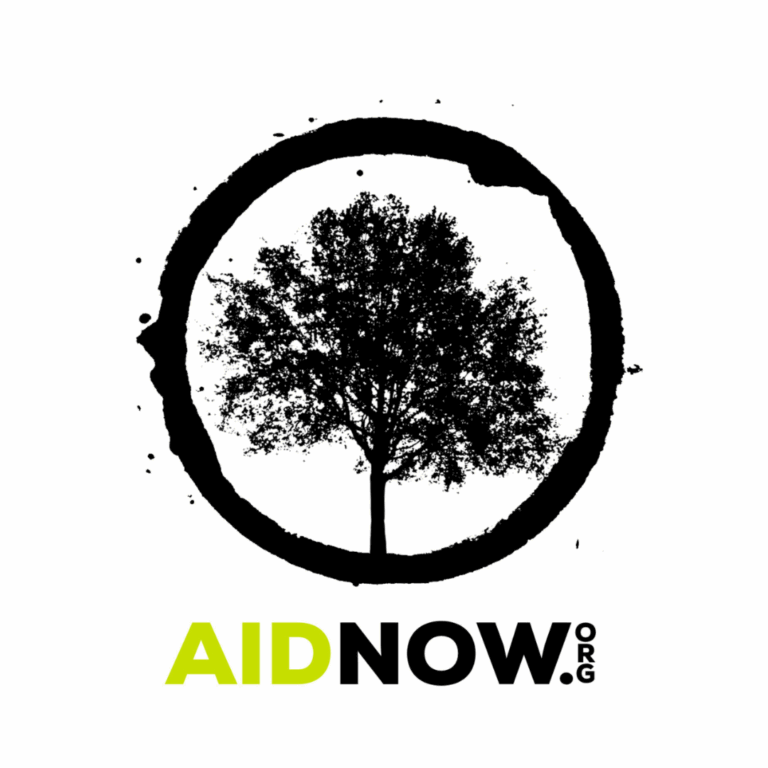 AIDNOW Logo
