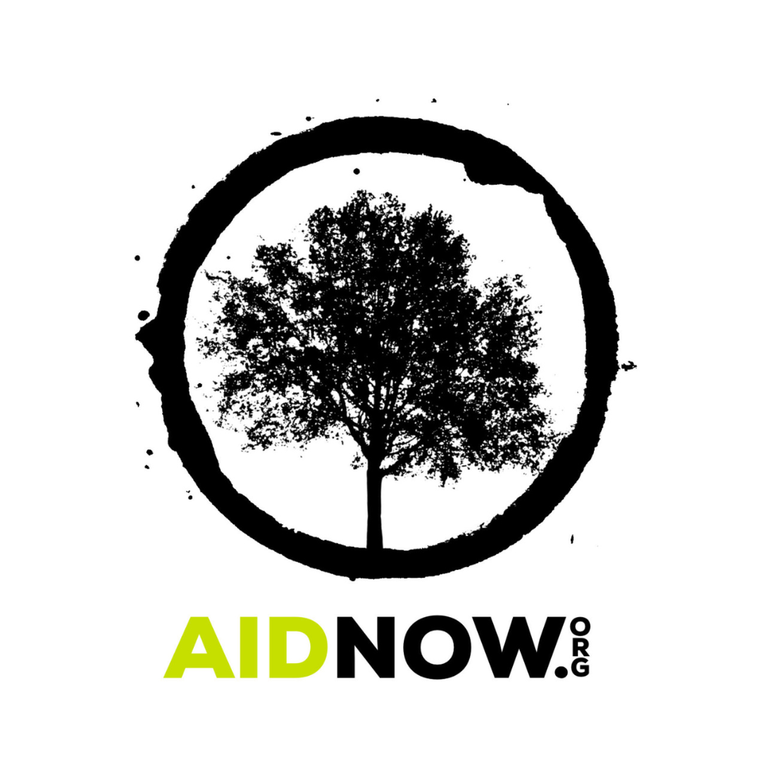 AIDNOW Logo